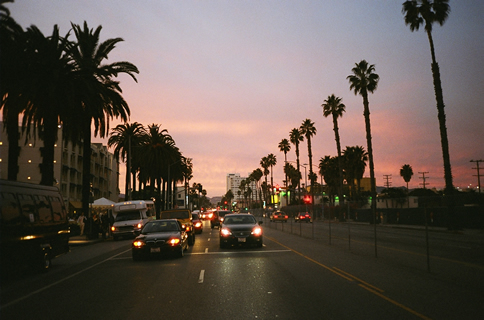 afm1